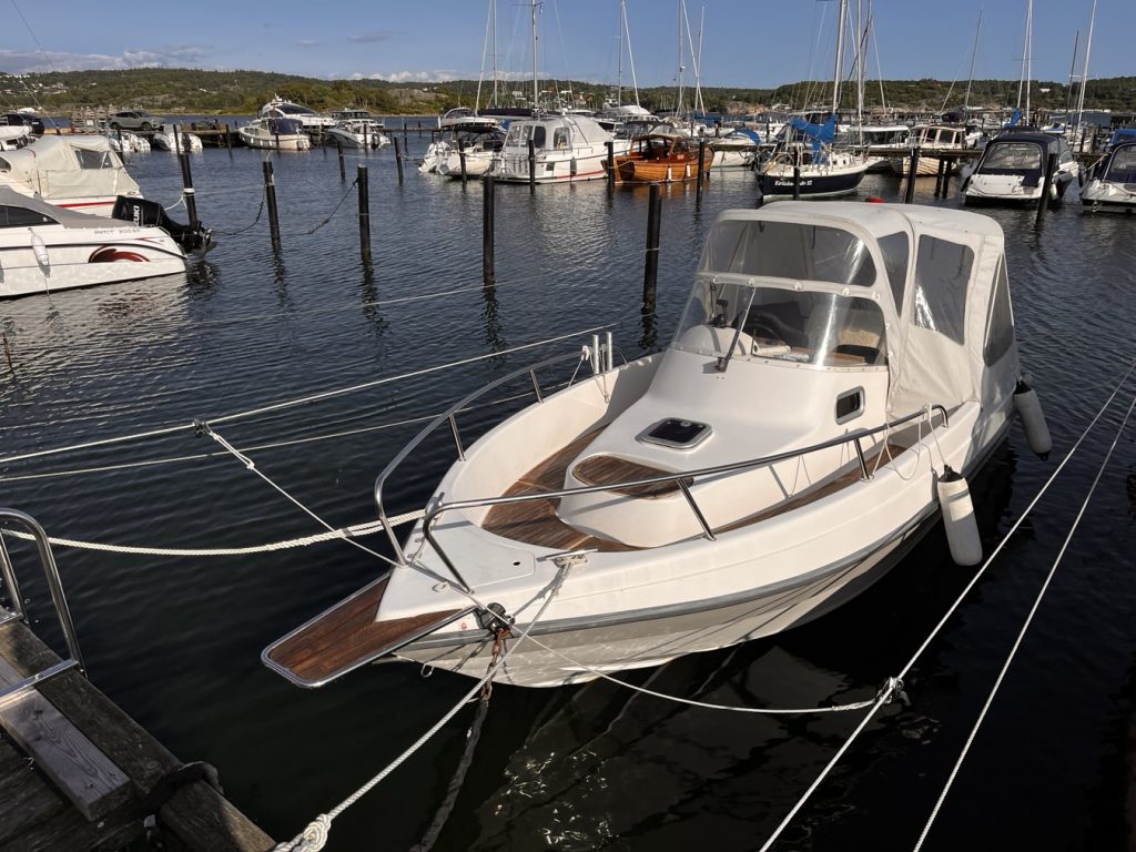 Tittade till Wilma efter ovädret